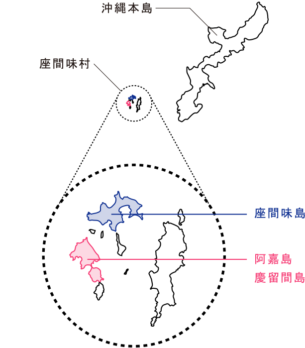 楽しみ方